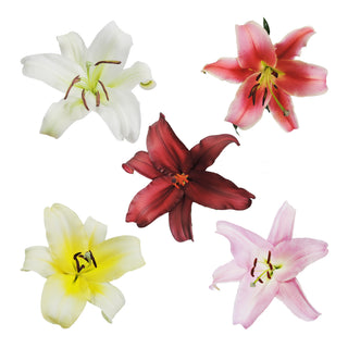 Assorted - O.T. Lilies - Pack 30 Assorted flowers - fresh-cut flowers by Bloomingmore - ideal for weddings and floral events