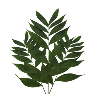 Jade Palm - 160 Stems Green flowers - fresh-cut flowers by Bloomingmore - ideal for weddings and floral events