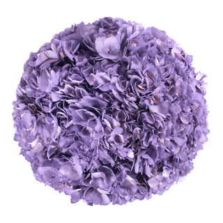 Lavender Painted Hydrangeas Lavender flowers - fresh-cut flowers by Bloomingmore - ideal for weddings and floral events