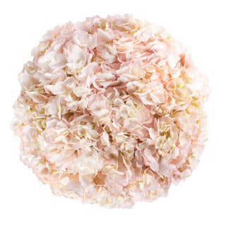 Light Pink Painted Hydrangeas Pink flowers - fresh-cut flowers by Bloomingmore - ideal for weddings and floral events