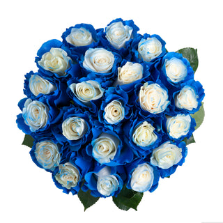 Blue Fairy Painted Roses Blue roses - fresh-cut roses by Bloomingmore - ideal for weddings and floral events