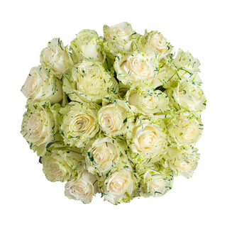 Clover Confetti Painted Roses White roses - fresh-cut roses by Bloomingmore - ideal for weddings and floral events
