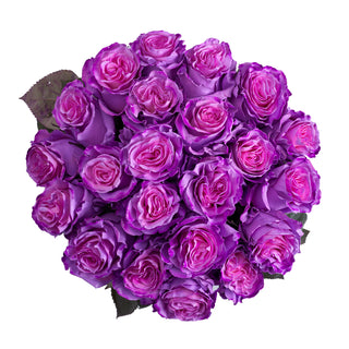 Layla Painted Roses Purple roses - fresh-cut roses by Bloomingmore - ideal for weddings and floral events