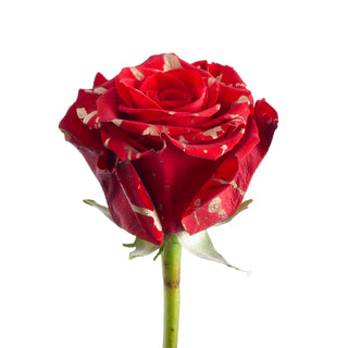 Golden Confetti Painted Roses Red roses - fresh-cut roses by Bloomingmore - ideal for weddings and floral events