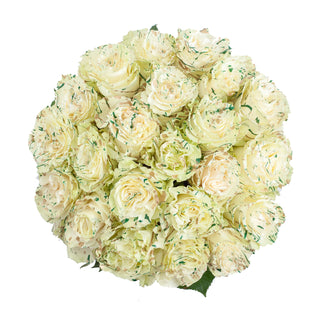 Patrick Confetti Painted Roses Green roses - fresh-cut roses by Bloomingmore - ideal for weddings and floral events