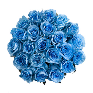 Whisper Painted Roses Blue roses - fresh-cut roses by Bloomingmore - ideal for weddings and floral events