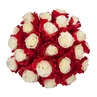 Marshmallow White & Red Painted Roses Red roses - fresh-cut roses by Bloomingmore - ideal for weddings and floral events