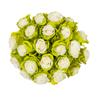Marshmallow White & Lime Green Painted Roses White roses - fresh-cut roses by Bloomingmore - ideal for weddings and floral events