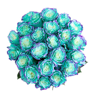 Michaella Painted Roses Michaella roses - fresh-cut roses by Bloomingmore - ideal for weddings and floral events