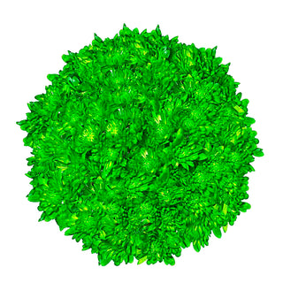 Lime Green Tinted Pompom Cushion Green flowers - fresh-cut flowers by Bloomingmore - ideal for weddings and floral events