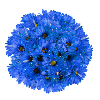 Dark Blue Tinted Pompom Daisy Mums Green flowers - fresh-cut flowers by Bloomingmore - ideal for weddings and floral events