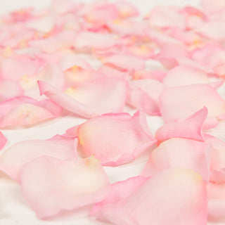 Pink Rose Petals Pink roses - fresh-cut roses by Bloomingmore - perfect for gifting or decoration