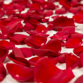 Red Rose Petals Red roses - fresh-cut roses by Bloomingmore - perfect for gifting or decoration