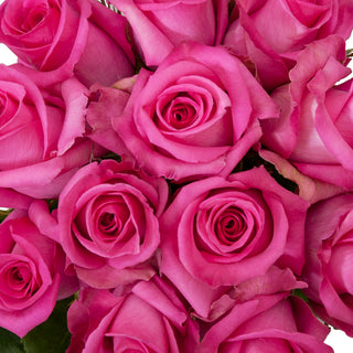 Dozen Assorted Colors Roses Bouquet - pack 18 Dozen roses - fresh-cut roses by Bloomingmore - ideal for weddings and floral events