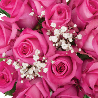 Dozen Hot Pink Roses Bouquet - pack 18 Pink roses - fresh-cut roses by Bloomingmore - ideal for weddings and floral events