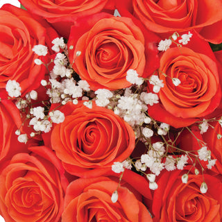Dozen Orange Roses Bouquet - pack 18 Orange roses - fresh-cut roses by Bloomingmore - ideal for weddings and floral events