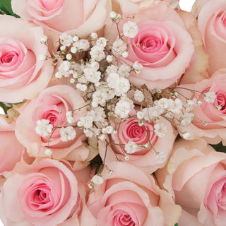 Dozen Pink Roses Bouquet - pack 18 Pink roses - fresh-cut roses by Bloomingmore - ideal for weddings and floral events