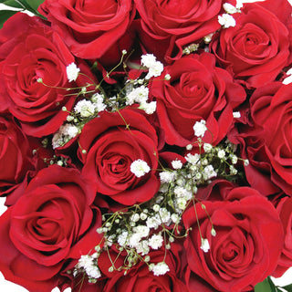 Dozen Red Roses Bouquet - pack 18 Red roses - fresh-cut roses by Bloomingmore - ideal for weddings and floral events