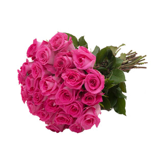 Hot Pink Flowers Collection – Farm-Fresh Bold Blooms Delivered to Your Door