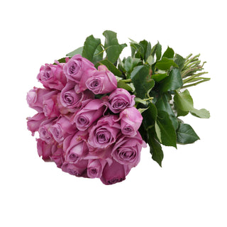 Lavender Roses - Express Delivery Pink roses - fresh-cut roses by Bloomingmore - perfect for gifting or decoration