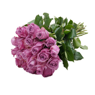 24 Farm Fresh Lavender Roses Lavender roses - fresh-cut roses by Bloomingmore - perfect for gifting or decoration