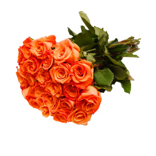 24 Farm Fresh Orange Roses Orange roses - fresh-cut roses by Bloomingmore - perfect for gifting or decoration