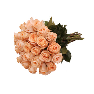 24 Farm Fresh Peach Roses Peach roses - fresh-cut roses by Bloomingmore - perfect for gifting or decoration