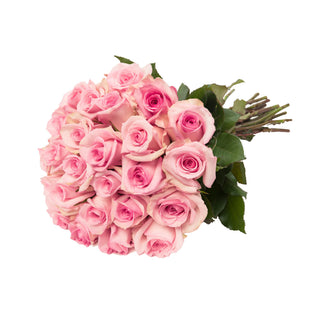 24 Farm Fresh Pink Roses Pink roses - fresh-cut roses by Bloomingmore - perfect for gifting or decoration