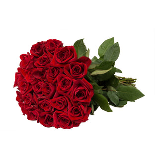 24 Farm Fresh Red Roses Red roses - fresh-cut roses by Bloomingmore - perfect for gifting or decoration