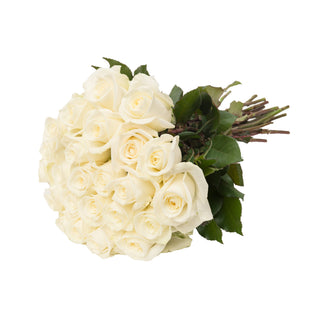 24 Farm Fresh White Roses White roses - fresh-cut roses by Bloomingmore - perfect for gifting or decoration