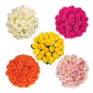Bright Day Assorted Roses Box Bright roses - fresh-cut roses by Bloomingmore - ideal for weddings and floral events