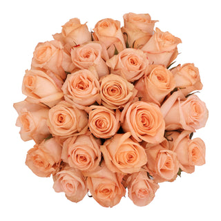 Peach Roses - Choose from 25 to 200 Stems Peach roses - fresh-cut roses by Bloomingmore - ideal for weddings and floral events