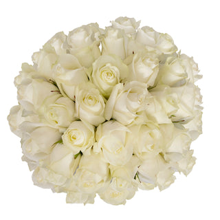 White Roses - Choose from 25 to 200 Stems White roses - fresh-cut roses by Bloomingmore - ideal for weddings and floral events