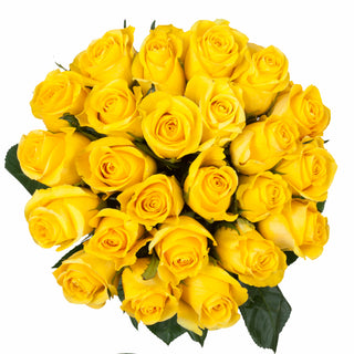 Yellow Roses - Choose from 25 to 200 Stems Yellow roses - fresh-cut roses by Bloomingmore - ideal for weddings and floral events