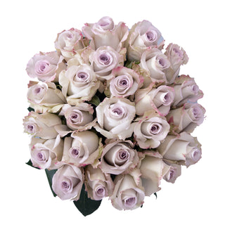 Andrea Roses Lavender roses - fresh-cut roses by Bloomingmore - ideal for weddings and floral events