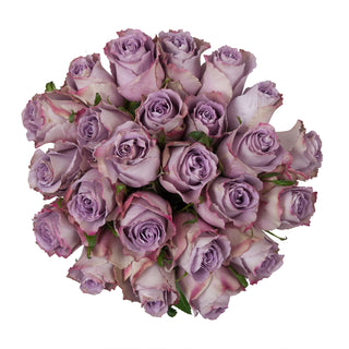 Grey Knight Roses Lavender roses - fresh-cut roses by Bloomingmore - ideal for weddings and floral events
