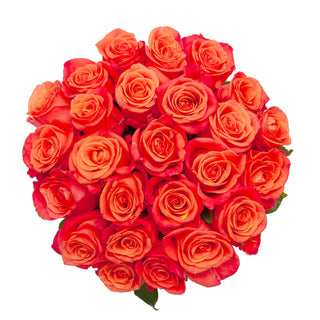 Orange Crush Roses Orange roses - fresh-cut roses by Bloomingmore - ideal for weddings and floral events