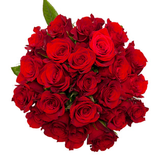 Scarlata Red Roses Red roses - fresh-cut roses by Bloomingmore - ideal for weddings and floral events