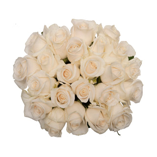 Vendela Roses White roses - fresh-cut roses by Bloomingmore - ideal for weddings and floral events