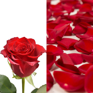 Red Roses & Rose Petals Red roses - fresh-cut roses by Bloomingmore - ideal for weddings and floral events