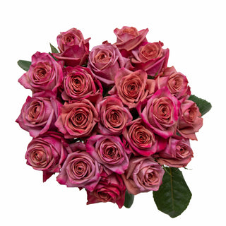 Barista Roses Pink roses - fresh-cut roses by Bloomingmore - ideal for weddings and floral events