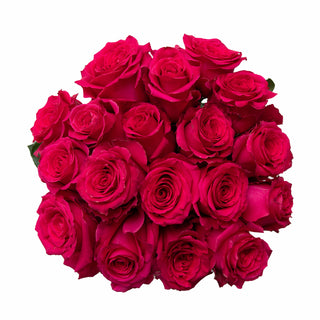 Full Monty Roses Pink roses - fresh-cut roses by Bloomingmore - ideal for weddings and floral events