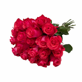 Jet Set Roses Pink roses - fresh-cut roses by Bloomingmore - ideal for weddings and floral events