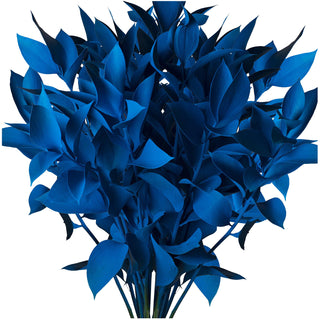 Blue Painted Ruscus Green flowers - fresh-cut flowers by Bloomingmore - ideal for weddings and floral events