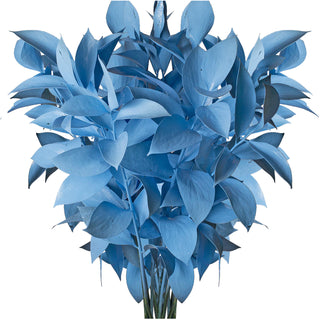 Pastel Blue Painted Ruscus Green flowers - fresh-cut flowers by Bloomingmore - ideal for weddings and floral events