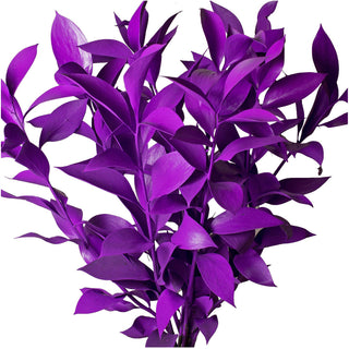 Pastel Violet Painted Ruscus Green flowers - fresh-cut flowers by Bloomingmore - ideal for weddings and floral events