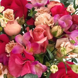 Roseate Spectrum Bouquet Roseate roses - fresh-cut roses by Bloomingmore - perfect for gifting or decoration