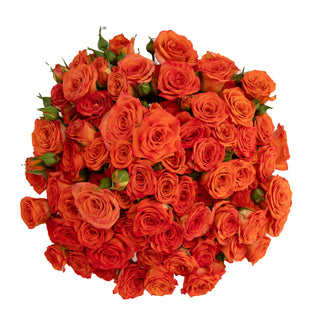 Orange Spray Roses Yellow roses - fresh-cut roses by Bloomingmore - ideal for weddings and floral events
