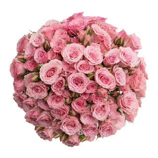 Pink Spray Roses Yellow roses - fresh-cut roses by Bloomingmore - ideal for weddings and floral events