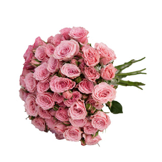 Pink Spray Roses Yellow roses - fresh-cut roses by Bloomingmore - ideal for weddings and floral events